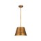 Z-Lite Maddox 1 Light Chandelier, Rubbed Brass & Rubbed Brass 6013-12RB - alternate 1